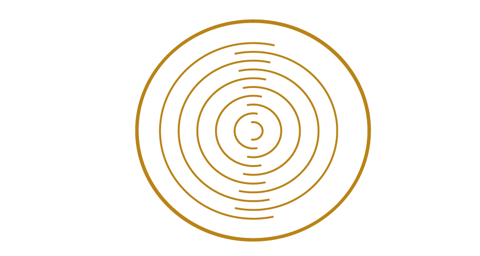 Gold circle icon for optimized synchronization