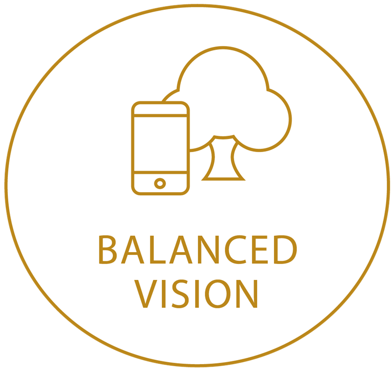 Gold circle icon showing balanced vision