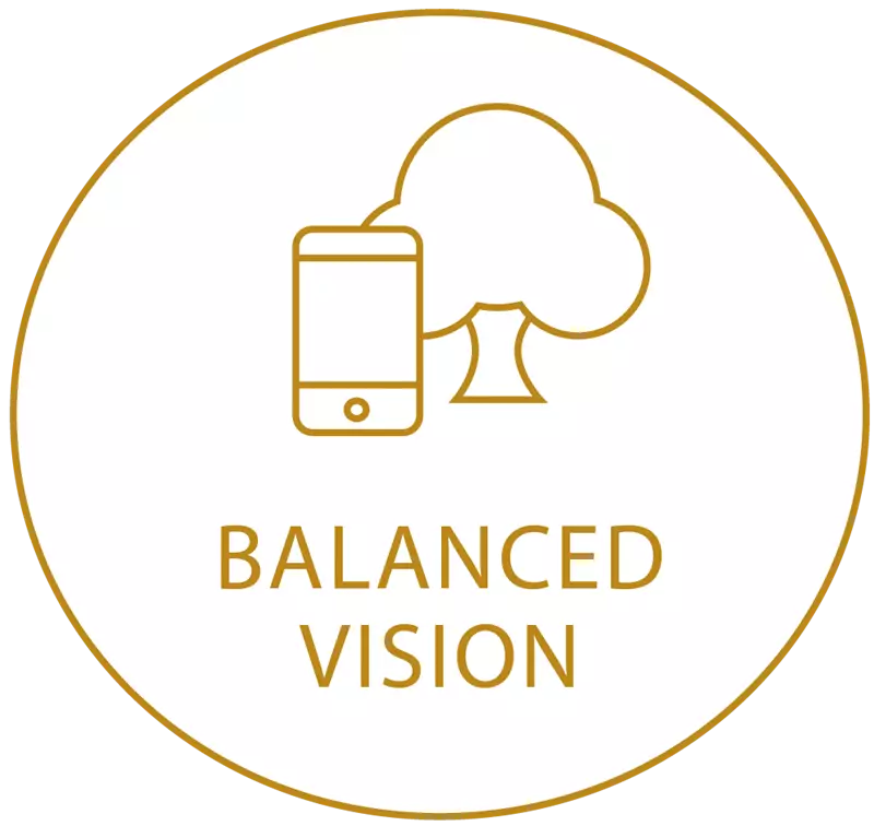 Gold circle icon showing balanced vision