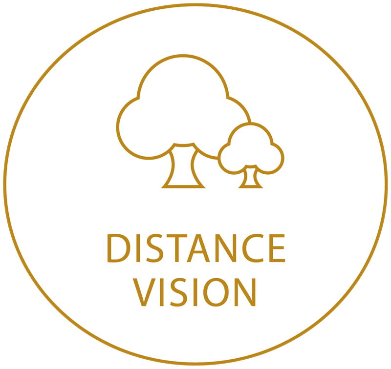Gold circle icon showing distance vision