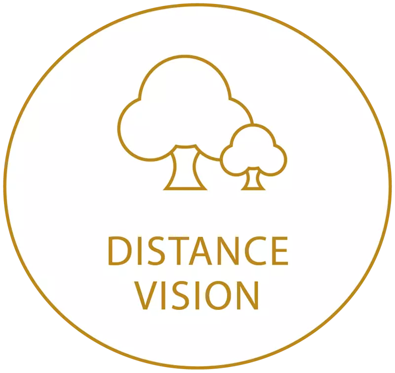 Gold circle icon showing distance vision