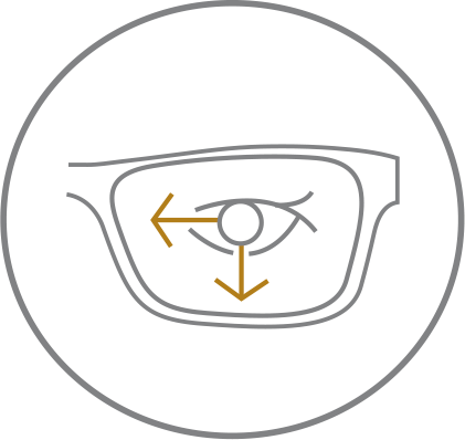 Black circle icon showing outline of glasses and eye