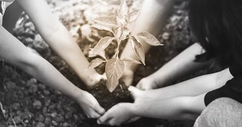 Le groupe HOYA SEIKO France s’engage pour le climat et réalise son Bilan Carbone sur les 3 scopes